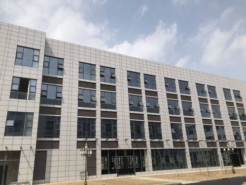 裝配式預制卡槽陶瓷板保溫一體板 協美醫院項目中的卓越應用與專業供應